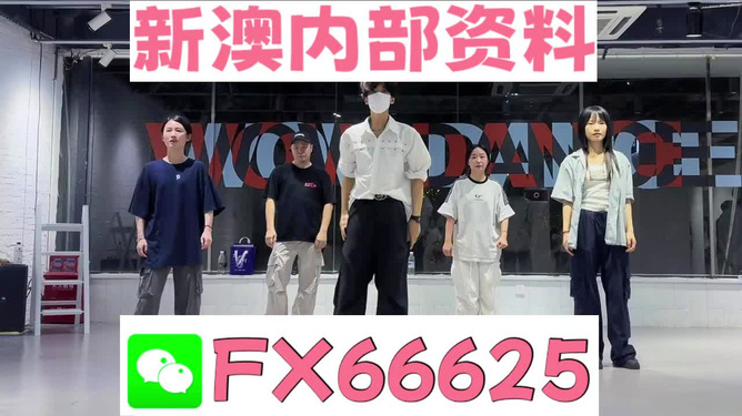 新澳天天彩免费资料大全查询,新澳天天彩免费资料大全查询，探索彩票世界的宝藏
