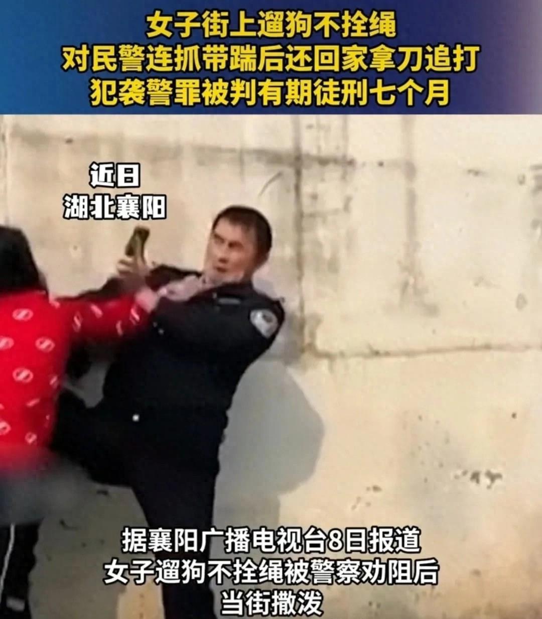 白小姐大前正版四不像一肖图,白小姐大前正版四不像一肖图，探索神秘预测世界