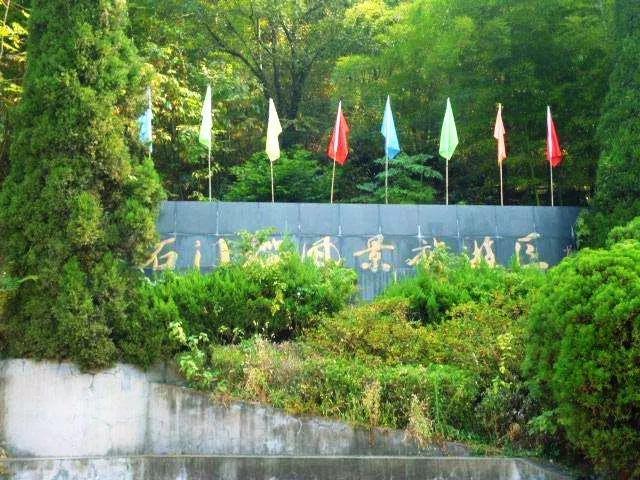 黄大仙8码大公开资料,黄大仙8码大公开资料揭秘